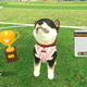 Illustration for article titled New Pet Sim For Switch Is No iNintendogs/i But Its Still Better Than My Real Dog